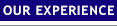 Our Experience